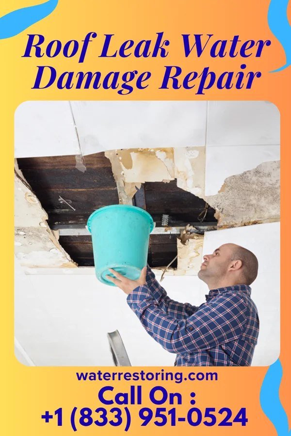 Roof Leak Water Damage Repair in Winger, MN