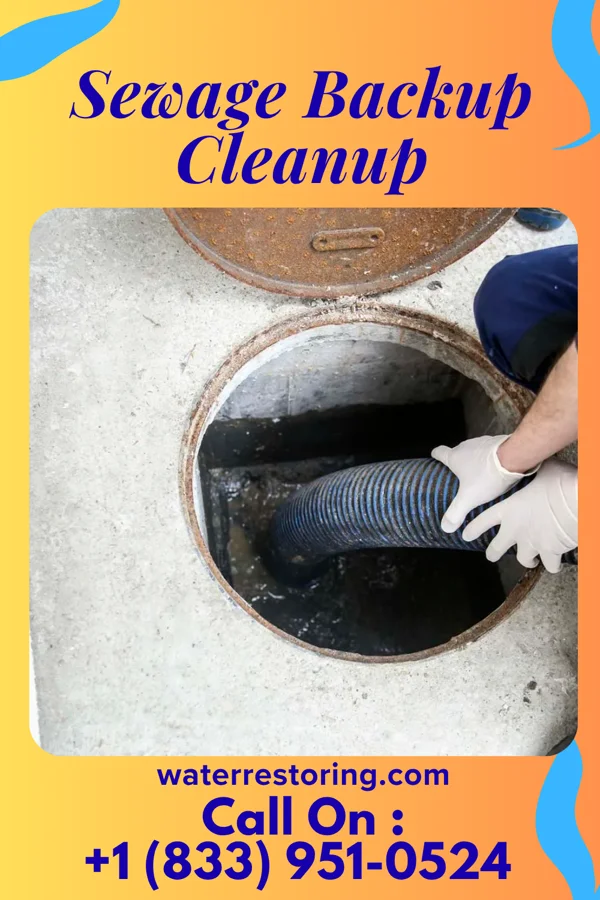 Sewage Backup Cleanup in Winger, MN